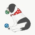 Shizu dog playing balls watercolour painting illustration Royalty Free Stock Photo