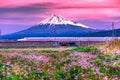 SHIZUOKA,JAPAN-APRIL 5,2019:Shinkansen bullet train passing by Mount Fuji, Yoshiwara, Shizuoka prefecture, Japan Royalty Free Stock Photo