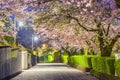 Shizuoka, Japan Springtime at Taiseki Temple Royalty Free Stock Photo