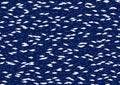 Shoal of fish on a blue water Royalty Free Stock Photo