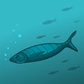 Shoal of Fish Royalty Free Stock Photo