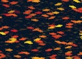 Shoal of multicolored fish pattern
