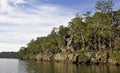 Shoalhaven River escarpment Royalty Free Stock Photo