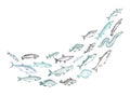 Shoaling fish graphic sketch, vector illustration