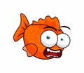 Shock Golden Fish Royalty Free Stock Photo
