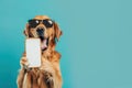 Shocked dog in sunglasses holding smartphone with white mockup screen on solid color background Royalty Free Stock Photo