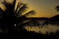 Shocking and beautiful sunset between coconut or palm trees. Tropical vacation landscape Royalty Free Stock Photo