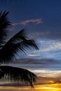 Shocking sunset with some clouds in the sky. Silhouette of a palm tree with coconuts