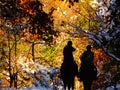 Horseriders in an automnal forest with snow Royalty Free Stock Photo