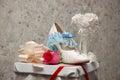 Shoe of the bride Royalty Free Stock Photo