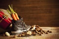 Shoe with carrots, for Dutch holiday 'Sinterklaas' Royalty Free Stock Photo