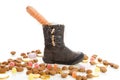 Shoe with carrots and ginger nuts for Sinterklaas, a typical Dutch event Royalty Free Stock Photo