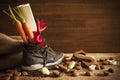 Shoe with carrots, for traditional Dutch holiday 'Sinterklaas' Royalty Free Stock Photo