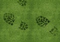 Shoe print on green grassland Royalty Free Stock Photo