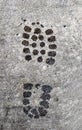 Shoe print in melting snow Royalty Free Stock Photo