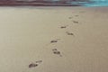 Shoe prints at a beach in Cornwall Royalty Free Stock Photo