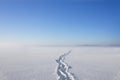 Shoe prints in clean snow