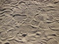 Shoe Prints in the Desert Sand Royalty Free Stock Photo