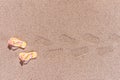 Shoe prints of flip flops at the beach Royalty Free Stock Photo