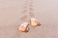 Shoe prints of flip flops at the beach Royalty Free Stock Photo