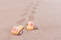 Shoe prints of flip flops at the beach Royalty Free Stock Photo