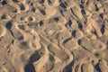 Shoe prints in the golden sand Royalty Free Stock Photo