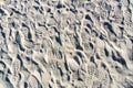 Shoe Prints in the Sand Royalty Free Stock Photo