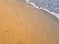 Shoe Prints at the sea