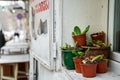 Shoe repair shop counter. Flower pots on the windowsill. Cozy exterior Royalty Free Stock Photo