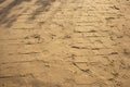 Shoe sole print on wet sand, sunny day in nature, shape and texture Royalty Free Stock Photo