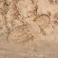 Shoe step left in the sand Royalty Free Stock Photo