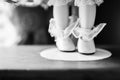 Shoe and Stocking of a China Doll