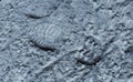 Shoe Footprint On Gray Cement Uneven Floor Background