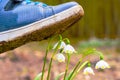 Shoe treading on a flower in grass