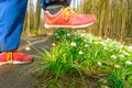 Shoe treading on a flower in grass