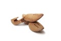 A Shoe tree made from cedar from the Woodlore company isolated on a white Royalty Free Stock Photo