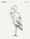 Shoebill bird realistic hand drawn, sketch