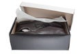 Shoebox with men's dress shoes