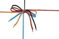 Shoelace with bow