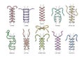 Shoelaces vector shoestring or shoe-laces and fashion accessory for footwear or footgear illustration set of shoes