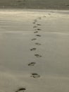 Shoeprint on the black sand beach