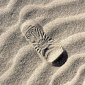 Shoeprint in the sand