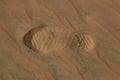 Shoeprint sand