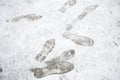 Shoeprints,footprints,bootprintd on ground coved by white snow. Royalty Free Stock Photo