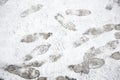 Shoeprints,footprints,bootprintd on ground coved by white snow.