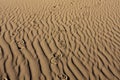 Shoeprints in Rippled Sand