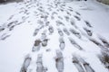 Shoeprints in snow - Athens, Greece, 15th of February 2021 Royalty Free Stock Photo