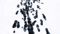 Shoeprints in Snow