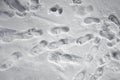 Shoeprints in snow. walking in the snow. footprints in the snow. Light gray and white background.