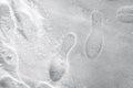 Shoeprints in snow. walking in the snow. footprints in the snow. Light gray and white background.